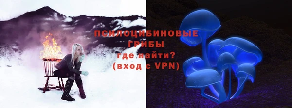 спиды Горняк