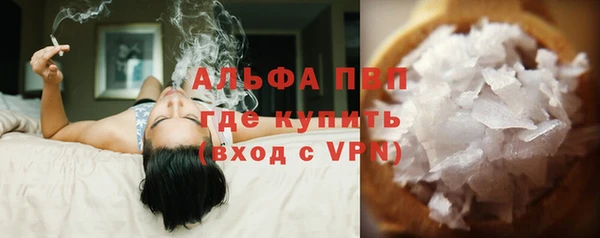 спиды Горняк