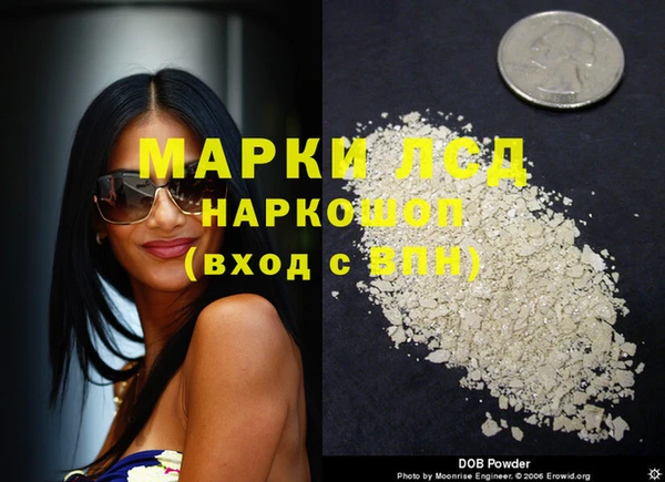 спиды Горняк
